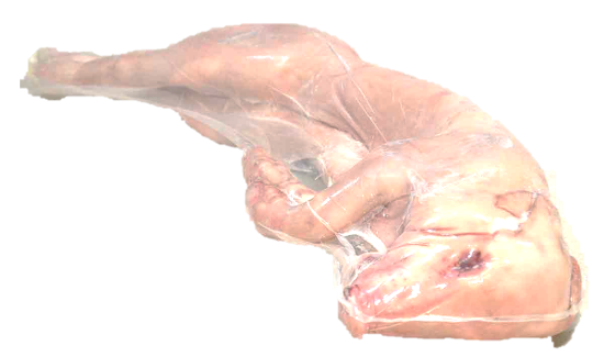 Immagine di Maialino