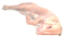 Immagine di Maialino