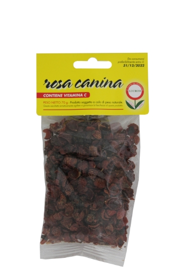 Immagine di Rosa Canina