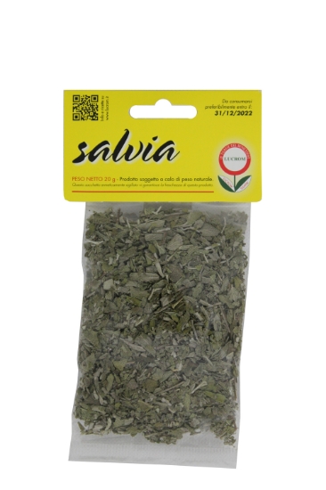 Immagine di Salvia