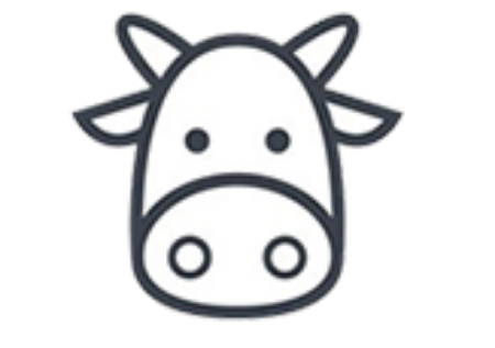 Immagine per la categoria Bovino